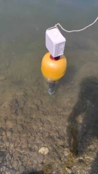 Schwimmtest